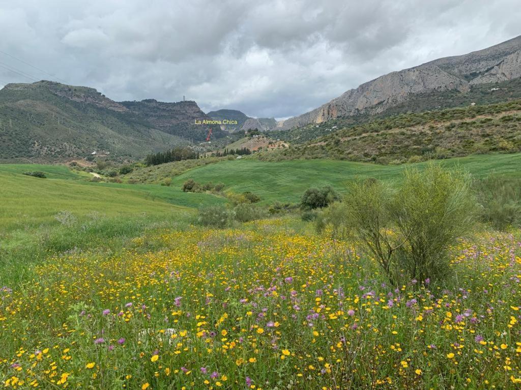 Affittacamere Casa Isabel - La Almona Chica El Chorro Esterno foto
